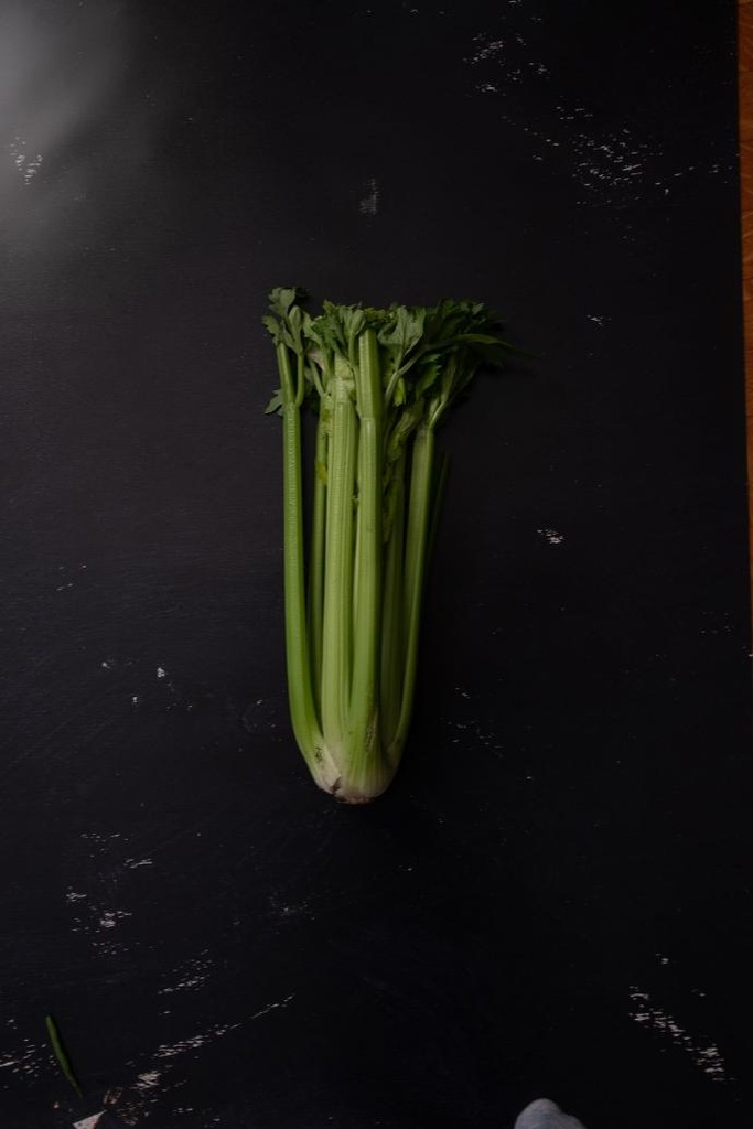 Celery P.E. 10:1