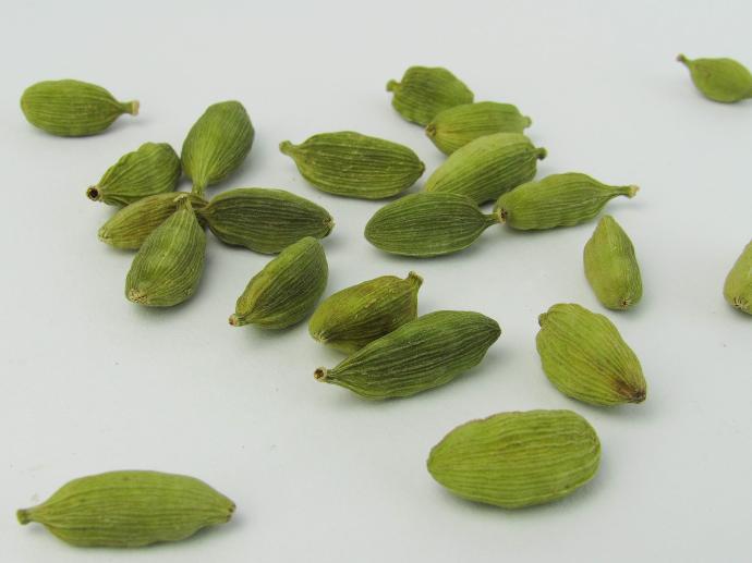 Cardamom P.E. 10:1