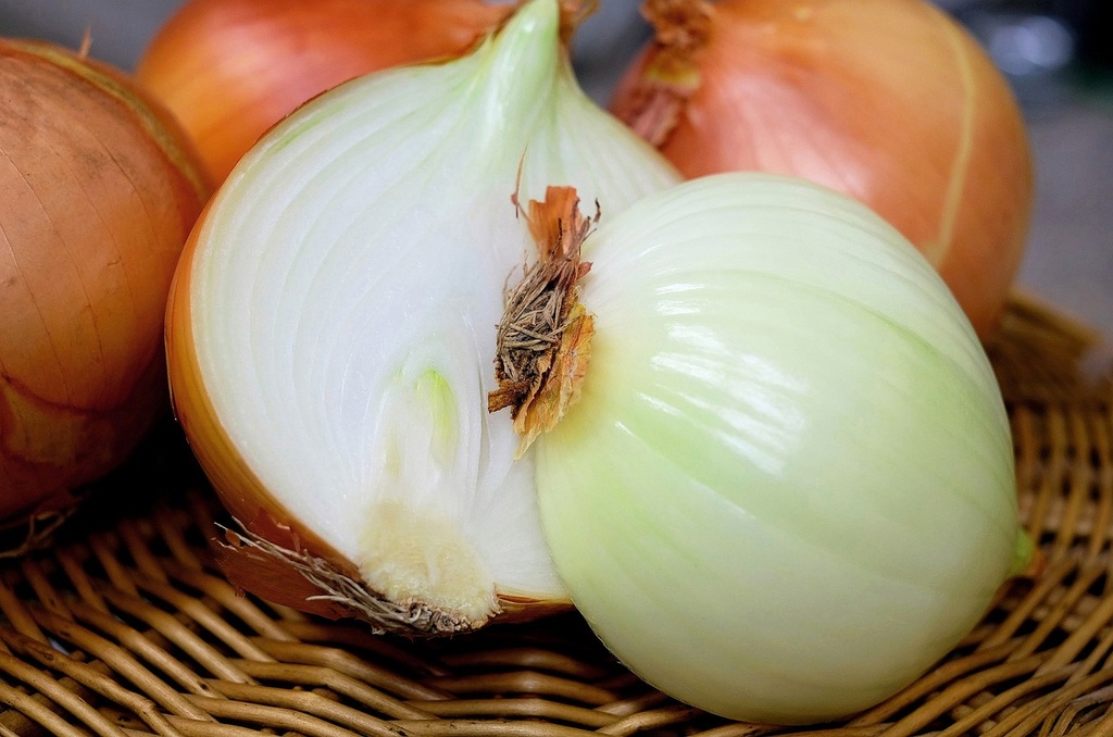 Onion P.E. 1% Quercetin