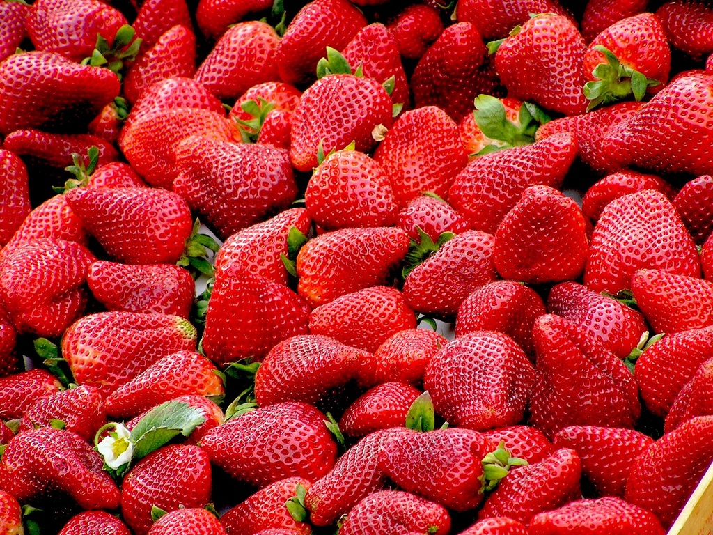 Strawberry P.E. 5% Anthocyanin