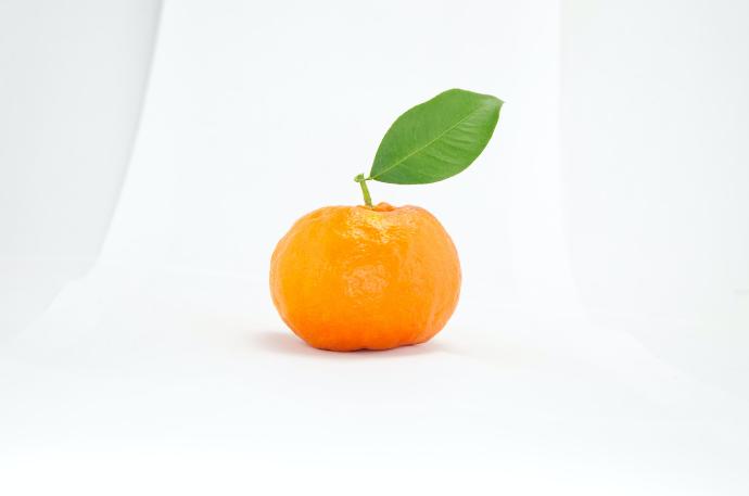 Bitter Orange P.E. 30% Synephrine