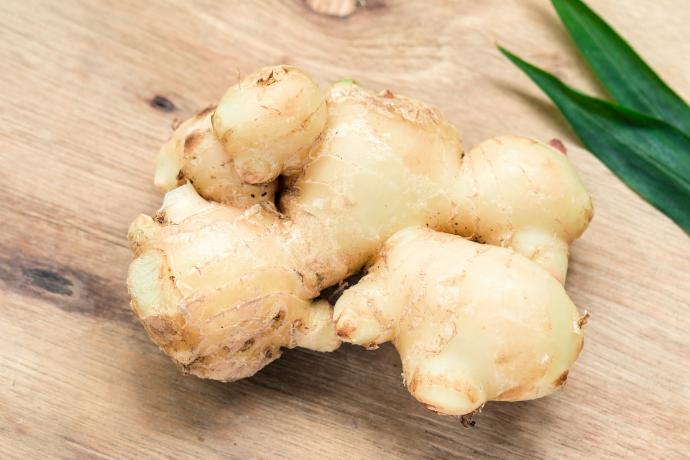 ORGANIC Ginger P. (18680)