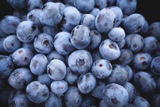 Blueberry P.E. 0.8% Anthocyanindins