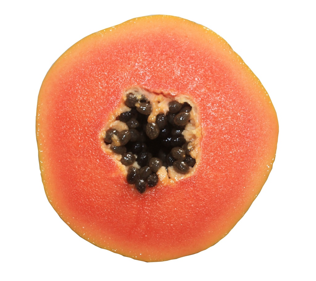 Papaya Samen P.E. 4:1