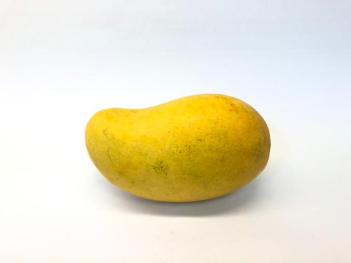 African Mango P.E. 10:1