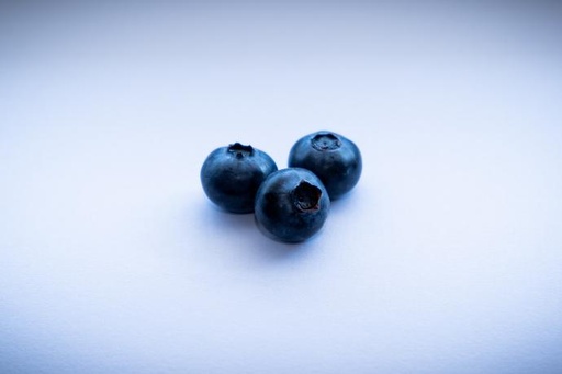 ORGANIC Blueberry P. (18797)