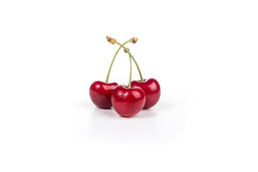 [24103] Montmorency Sour Cherry P.E. 50:1