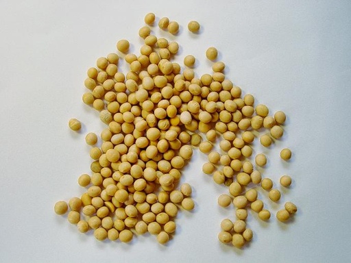 Soybean P.E. 40% Isoflavones