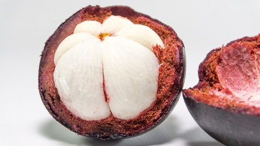 Mangosteen P.E. 4:1