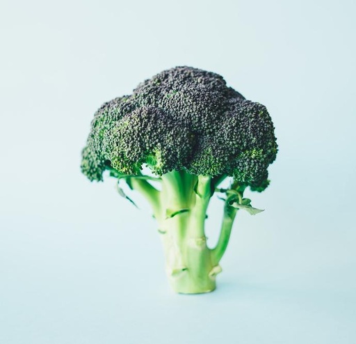 Broccoli WS P.E. 4:1