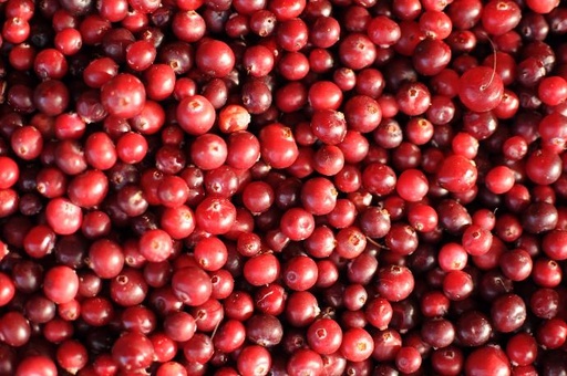 Cranberry Frucht P.