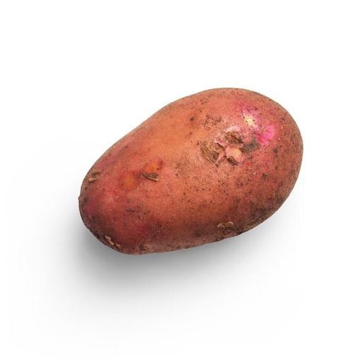 Sweet potato P. (15460)