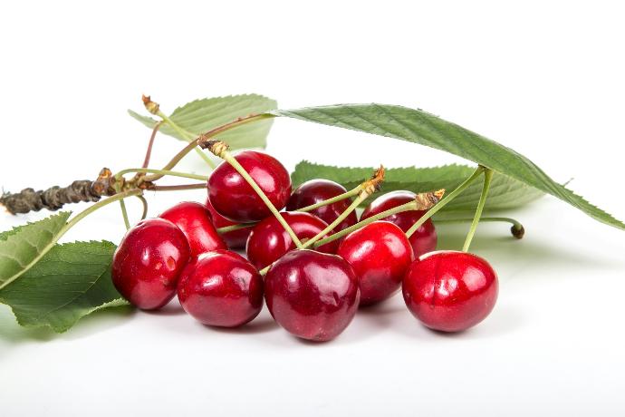 Sour Cherry WS P.E. 4:1 (16820)