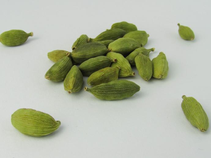 Cardamom P.E. 4:1